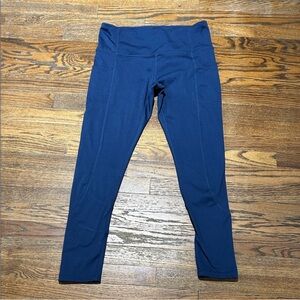R. Sofia Fleece Lined Soft Blue Leggings